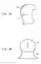 Fig. 06 - Protective garment having an improved hood