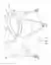 Fig. 02 - Changing carrier for a playard