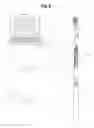 Fig. 06 - Toothbrush