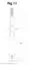 Fig. 09 - Toothbrush