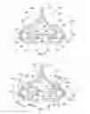 Fig. 05 - LONGITUDINAL BODY FOR A VEHICLE WINDOW WIPER