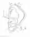 Fig. 02 - Steam cleaners