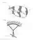 Fig. 02 - Snap ring having multiple rollers