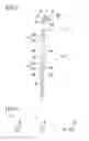 Fig. 08 - Cutter for double-edged eyelid-forming tape or thread