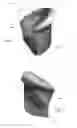 Fig. 02 - HEEL GRIP INSERT