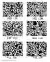 Fig. 08 - ABRASIVE PARTICULATE MATERIAL INCLUDING SUPERABRASIVE MATERIAL HAVING A COATING OF METAL