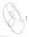 Fig. 09 - CAR COVER STRUCTURE