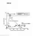 Fig. 12 - Substrate processing apparatus and shutter member