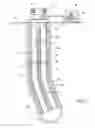 Fig. 02 - Method and apparatus for down-hole alignment of optic fibers