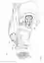 Fig. 04 - Drive train and systems for a three-wheeled vehicle
