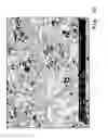 Fig. 08 - Osteosynthesis with nano-silver