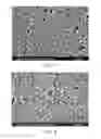Fig. 02 - Method of manufacturing reverse osmosis membrane, and reverse osmosis membrane manufactured thereby