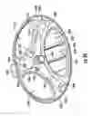 Fig. 17 - Closure for a container