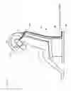 Fig. 09 - Helmet-type PET device
