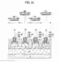 Fig. 32 - Solid-state imaging device, method for manufacturing solid-state imaging device, and imaging apparatus