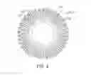 Fig. 05 - Open-type induction motor