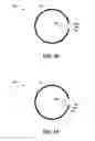 Fig. 09 - Alignment testing for tiered semiconductor structure