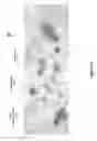 Fig. 04 - INTERFERENCE MAP FOR GNSS DEVICE