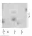 Fig. 06 - INTERFERENCE MAP FOR GNSS DEVICE