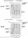 Fig. 07 - PRINTING DEVICE, PRINTING METHOD, AND MEDIUM HAVING RECORDED PROGRAM