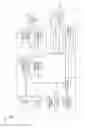 Fig. 02 - Microscopic imaging device, microscopic imaging method, and microscopic imaging program