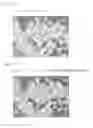 Fig. 22 - Microscopic imaging device, microscopic imaging method, and microscopic imaging program