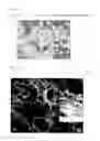 Fig. 23 - Microscopic Imaging Device, Microscopic Imaging Method, and Microscopic Imaging Program