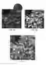 Fig. 09 - Plenoptic color imaging system with enhanced resolution