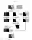 Fig. 06 - Image processing apparatus, imaging apparatus, and image processing method