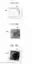 Fig. 12 - Ophthalmological apparatus, comparison method, and non-transitory storage medium