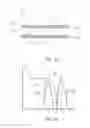 Fig. 02 - Light conversion assembly, a lamp and a luminaire