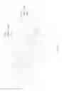 Fig. 04 - LAMP STRUCTURE