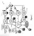 Fig. 02 - Selecting a command node in a heterogeneous communication system