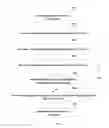 Fig. 06 - Stepwise slot allocation method and apparatus