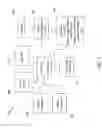 Fig. 02 - Intelligent mesh object list buildup
