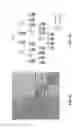 Fig. 04 - Multi-metric filtering