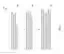 Fig. 07 - Using audio signals to identify when client devices are co-located
