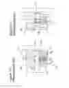 Fig. 02 - Positive drive actuated valve for reciprocating compressor and method
