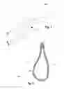 Fig. 02 - Air freshener with scented string