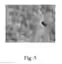 Fig. 06 - Titanium silicalite molecular sieve and its synthesis