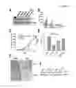 Fig. 06 - METHODS FOR THE TREATMENT, THE PROGNOSTIC ASSESSMENT AND THE STAGING OF NON-SMALL CELL LUNG CANCER