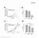 Fig. 07 - METHODS FOR THE TREATMENT, THE PROGNOSTIC ASSESSMENT AND THE STAGING OF NON-SMALL CELL LUNG CANCER