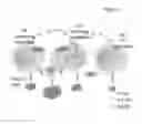 Fig. 08 - METHODS FOR THE TREATMENT, THE PROGNOSTIC ASSESSMENT AND THE STAGING OF NON-SMALL CELL LUNG CANCER