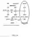 Fig. 09 - Compounds and Methods of Making Compounds