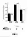 Fig. 06 - NOVEL ANTITUMORAL USE OF CABAZITAXEL