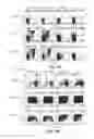 Fig. 02 - Enhanced affinity T cell receptors and methods for making the same