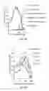 Fig. 22 - Delivery of negatively charged proteins using cationic lipids