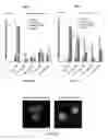 Fig. 49 - Delivery of negatively charged proteins using cationic lipids