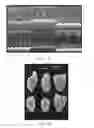 Fig. 08 - COMPOSITIONS AND METHODS FOR TREATING CARDIAC HYPERTROPHY