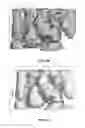 Fig. 06 - JAK1 SELECTIVE INHIBITOR AND USES THEREOF